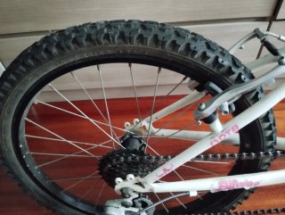 Bici niña DTB 20 pulgadas