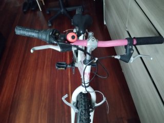 Bici niña DTB 20 pulgadas