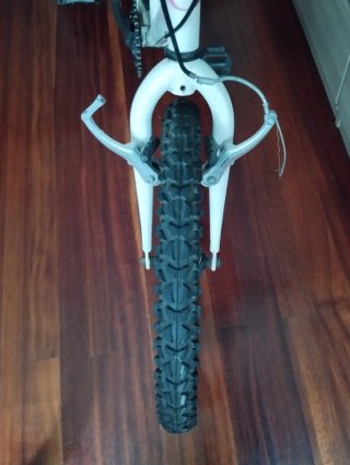 Bici niña DTB 20 pulgadas