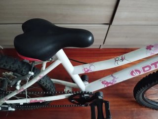 Bici niña DTB 20 pulgadas
