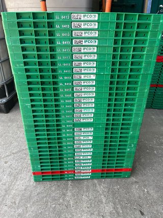 Cajas Plegables IFCO Plástico Verde/Rojo