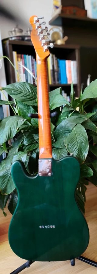 Guitarra Eléctrica ELg estilo Telecaster