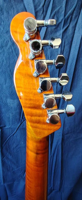 Guitarra Eléctrica ELg estilo Telecaster