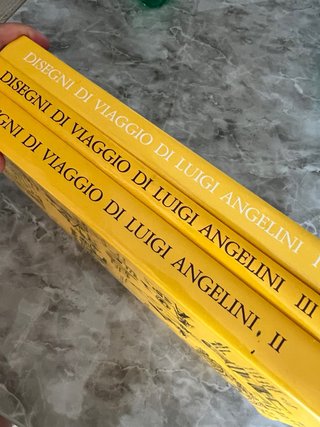 Disegni di Viaggio Luigi Angelini Libri
