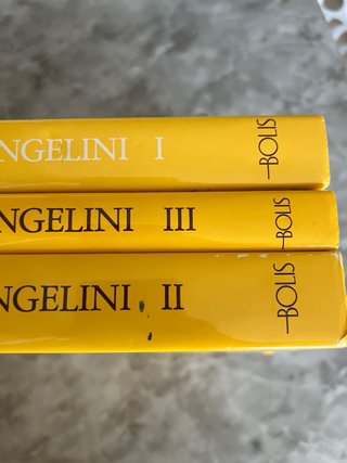 Disegni di Viaggio Luigi Angelini Libri