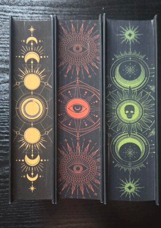 Trilogia Blackbird Academy