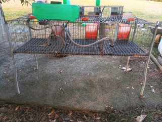 Lote de conejeras metálicas