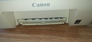 Impresora Canon PIXMA MG2550 Blanca