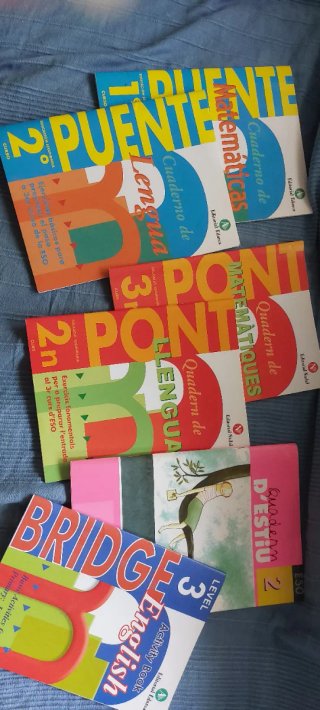 Cuadernos puente de secundaria diferentes cursos