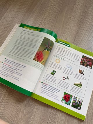 Ciencias de la naturaleza, 4 Primaria Santillana
