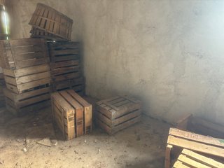 Cajas de madera y plástico para frutas y escalera