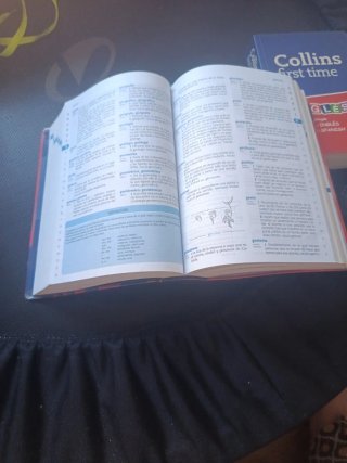 Diccionario primaria lengua espanola