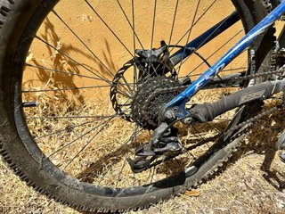 Bicicletta Specialized blu