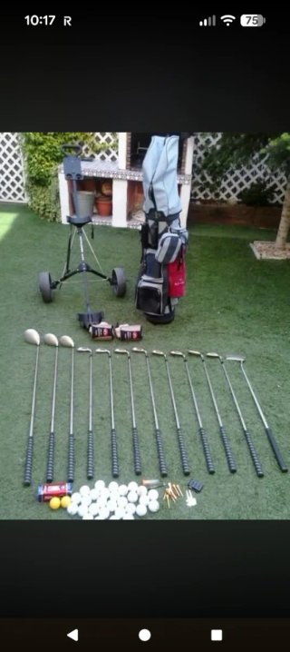 Carro y palos de golf completos