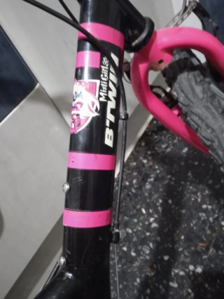Bicicleta 20" misti girl 320