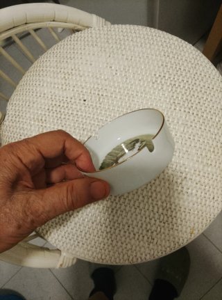 Cenicero Porcelana *Bidasoa* Antiguo-años 70-80