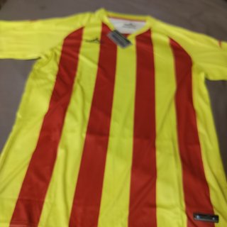 Camiseta Mercury Champions Senyera Talla L