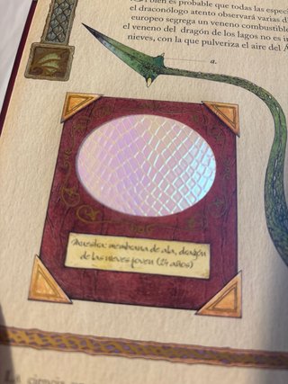 Libro de dragones.