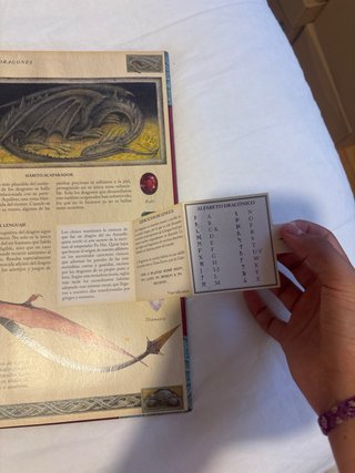 Libro de dragones.