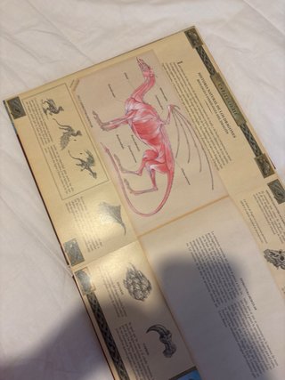 Libro de dragones.