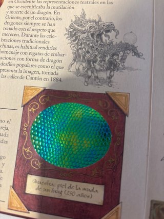 Libro de dragones.