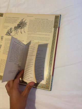 Libro de dragones.