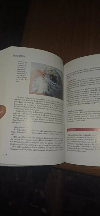 Veterinaria aplicada a la ornitología deportiva...