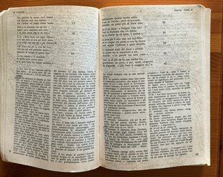 Libro divina commedia