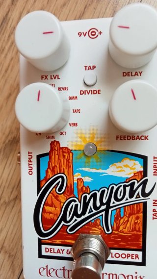 Electro Harmonix Canyon Delay Pedal