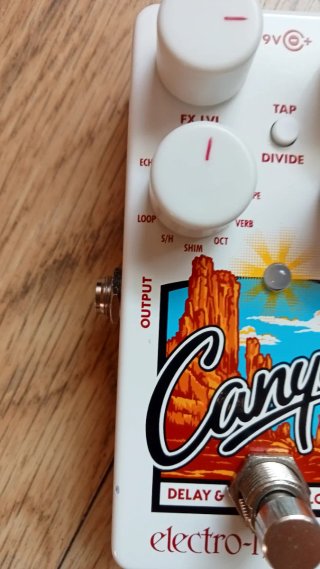 Electro Harmonix Canyon Delay Pedal
