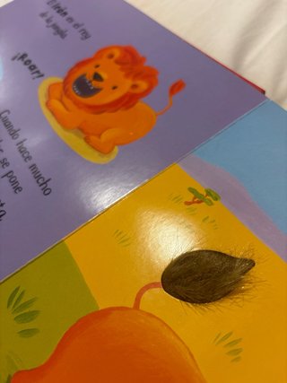Pac de seis libros para niños.
