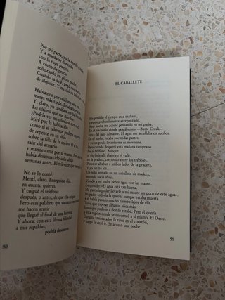 Bajo una luz marina