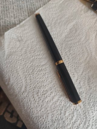 Pluma Weterman punta 18k