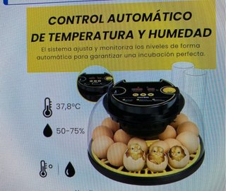 Incubadora NovaEgg con pollitos