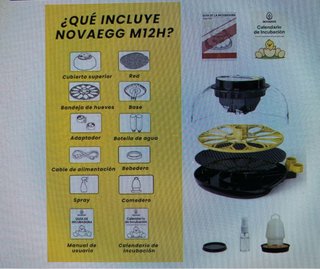 Incubadora NovaEgg con pollitos