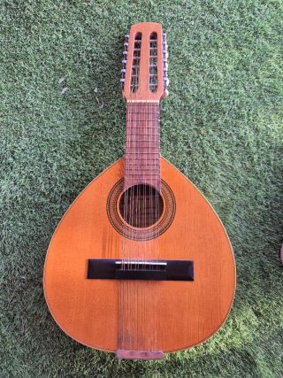 Bandurria con funda, Guitarra, instrumento musical
