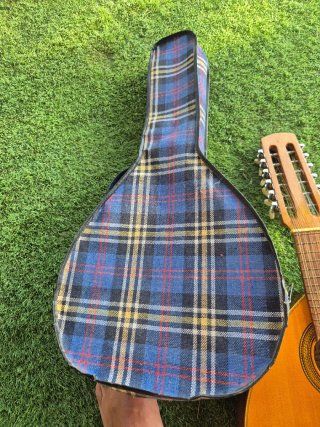 Bandurria con funda, Guitarra, instrumento musical