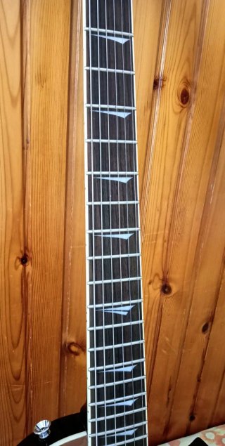 Chitarra Elettrica Kramer Assault 220 Hardtail