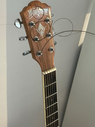 Washburn WD7SCE Acústica