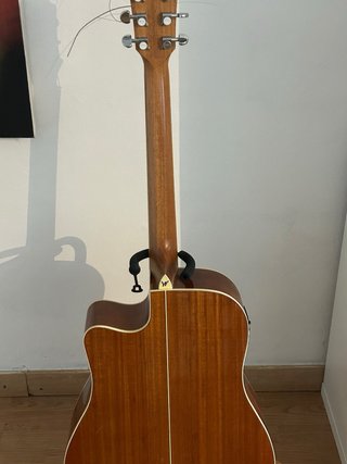 Washburn WD7SCE Acústica