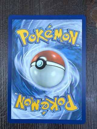 Pokemon TCG: First Partner Pack