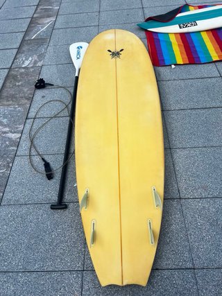 Tabla Remo Paddle Surf Moose Shapes