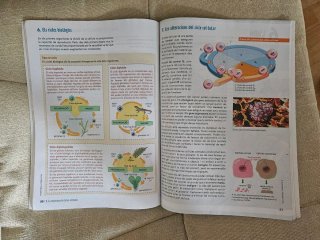 BIOLOGIA I GEOLOGIA 4 (LC+QA+DIGITAL) (SITUACIONS)