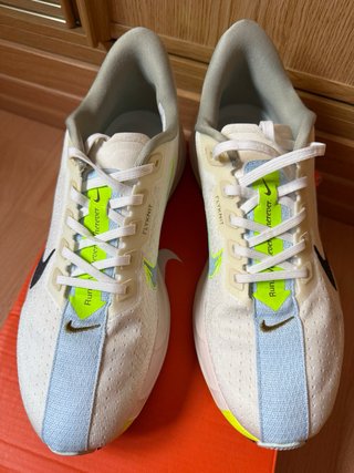 Nike Pegasus Plus