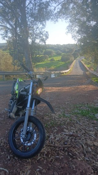 RIEJU MRT 50 EUR5 Supermotard