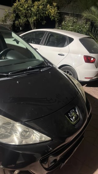 Peugeot 207 2010