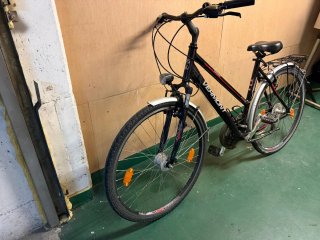 Bicicleta de paseo