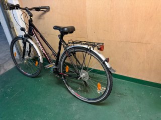 Bicicleta de paseo