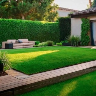 Jardinero básico y limpieza de terrazas