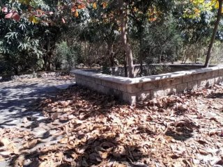 Jardinero básico y limpieza de terrazas